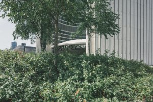 ESRS: De Nieuwe Taal van Duurzaamheidsrapportage
