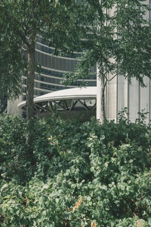ESRS: De Nieuwe Taal van Duurzaamheidsrapportage