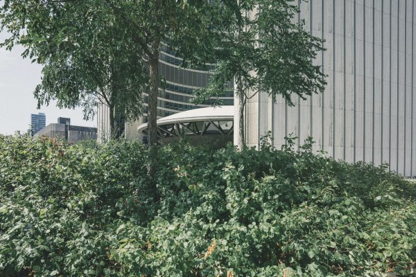 ESRS: De Nieuwe Taal van Duurzaamheidsrapportage